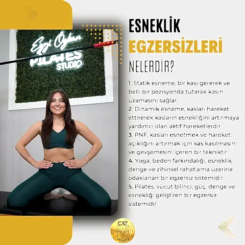 Cat Sports - 4. Fotoğraf