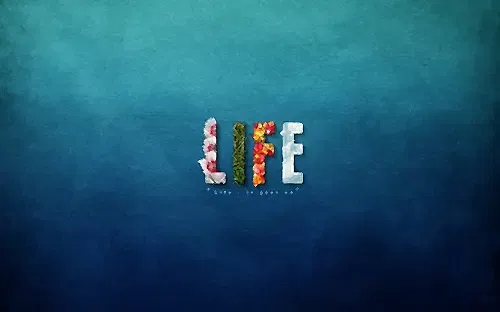 Life Motion Personal Training & Pilates 