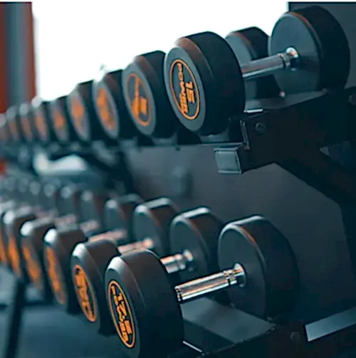 Gym Skull - 4. Fotoğraf Gym Skull - 4. Fotoğraf