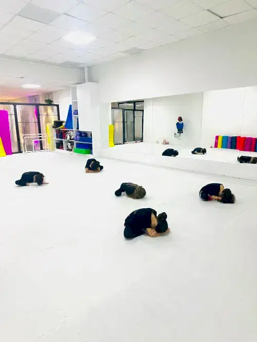 MFK Training Stüdyo Pilates - Dikmen  Savunma Sanatları - 3. Fotoğraf